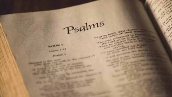 How to Use Psalms to Defend Your Faith - Is the Bible Reliable?, Truth Seekers - Cold-Case Christianity - J. Warner & Jimmy Wallace