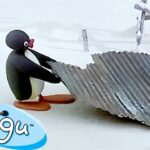 Productive Pingu 🐧 | Pingu – Official Channel | Cartoons For Kids - Kids (0-4), Kingdom Kids Zone - Pingu - Official Channel