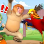 Witness21 Editor  2024 02 03