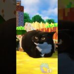 Happy Cat Dance in Minecraft⦠- Gameplay, Kingdom Kids Zone, Minecraft - EYstreem