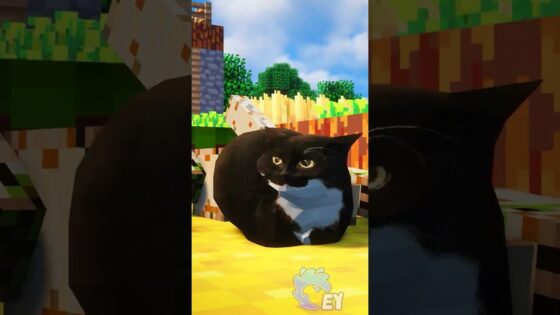 Happy Cat Dance in Minecraft… - Gameplay, Kingdom Kids Zone, Minecraft - EYstreem