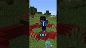 Minecraft, But the Circle Is Controlled By You… - Gameplay, Kingdom Kids Zone, Minecraft - EYstreem