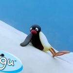 Pingu Learns His Lesson 🐧 | Pingu – Official Channel | Cartoons For Kids - Kids (0-5), Kingdom Kids Zone - Pingu - Official Channel