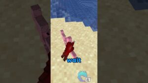 Minecraft, But Your Hearts Change Shape… - Gameplay, Kingdom Kids Zone, Minecraft - EYstreem