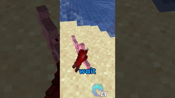 Minecraft, But Your Hearts Change Shape… - Gameplay, Kingdom Kids Zone, Minecraft - EYstreem