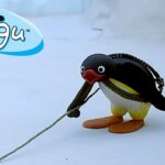 Exploring the Outdoors with Pingu 🐧 | Pingu – Official Channel | Cartoons For Kids - Kids (0-4), Kingdom Kids Zone - Pingu - Official Channel