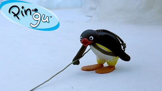 Exploring the Outdoors with Pingu 🐧 | Pingu – Official Channel | Cartoons For Kids - Kids (0-5), Kingdom Kids Zone - Pingu - Official Channel