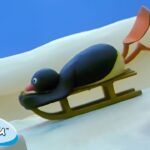 Pingu Toboganning 🐧 | Pingu – Official Channel | Cartoons For Kids - Kids (0-4), Kingdom Kids Zone - Pingu - Official Channel