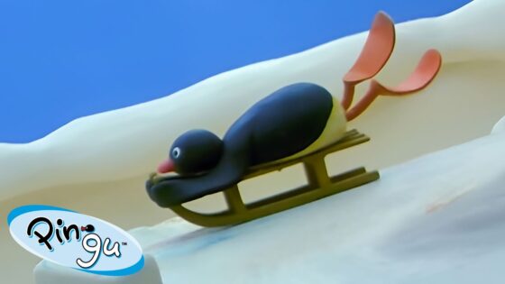 Pingu Toboganning 🐧 | Pingu – Official Channel | Cartoons For Kids - Kids (0-5), Kingdom Kids Zone - Pingu - Official Channel