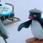 Pingu Gets Creative 🐧 | Pingu – Official Channel | Cartoons For Kids - Kids (0-4), Kingdom Kids Zone - Pingu - Official Channel