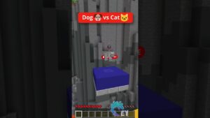 Dog 🐶 vs Cat🐱 Parkour in Minecraft! - Gameplay, Kingdom Kids Zone, Minecraft - EYstreem