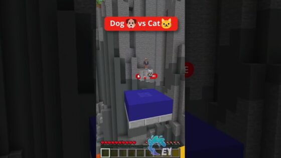 Dog 🐶 vs Cat🐱 Parkour in Minecraft! - Gameplay, Kingdom Kids Zone, Minecraft - EYstreem