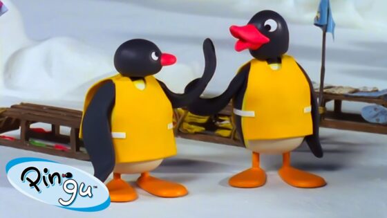 Pingu Uses Teamwork 🐧 | Pingu – Official Channel | Cartoons For Kids - Kids (0-5), Kingdom Kids Zone - Pingu - Official Channel