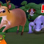 Witness21 Editor  2024 03 02