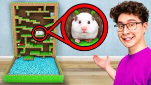 I Built a Minecraft Maze for my Hamster - Gameplay, Kingdom Kids Zone, Minecraft - EYstreem