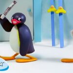 Pingu and Pinga Go on Adventures! 🐧 | Pingu – Official Channel | Cartoons For Kids - Kids (0-4), Kingdom Kids Zone - Pingu - Official Channel