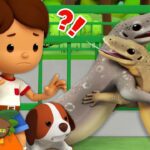 Witness21 Editor  2024 03 09