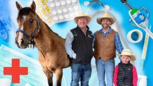 Three people in cowboy hats stand with a brown horse against a blue medical collage (pills, stethoscope, thermometer).