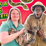 Witness21 Editor  2024 03 05