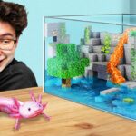 I Built a Minecraft Aquarium IRL for my Axolotl - Gameplay, Kingdom Kids Zone, Minecraft - EYstreem