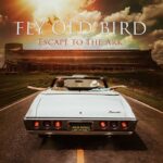 Witness21 Editor  2024 03 01