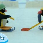 Pingu's Favorite Sports 🐧 | Pingu – Official Channel | Cartoons For Kids - Kids (0-4), Kingdom Kids Zone - Pingu - Official Channel