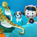 Witness21 Editor  2024 03 21