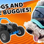 Witness21 Editor  2024 03 08