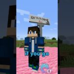 Minecraft, But You Can’t Leave This Color - Gameplay, Kingdom Kids Zone, Minecraft - EYstreem