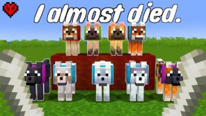 I found every hecking dog in Minecraft Hardcore - Gameplay, Kingdom Kids Zone, Minecraft - CringyGull