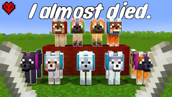 I found every hecking dog in Minecraft Hardcore - Gameplay, Kingdom Kids Zone, Minecraft - CringyGull