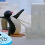 Pingu in the Snow π§ | Pingu β Official Channel | Cartoons For Kids - Kids (0-4), Kingdom Kids Zone - Pingu - Official Channel