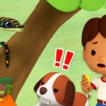 Witness21 Editor  2024 04 13