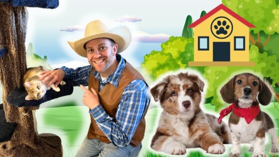 Smiling cowboy-style man pets a kitten in a tree trunk, while two puppies sit on the grass in a cartoon yard with a dog house in the background.
