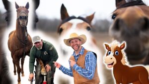 Two men stand with horses on a farm, smiling at the camera, with a cartoon horse right of center.