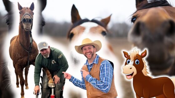 Two men stand with horses on a farm, smiling at the camera, with a cartoon horse right of center.