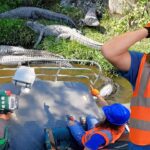 🐊 Alligator Swamp Truck Ride 🐊 - Kingdom Kids Zone, Sing With Me - Handyman Hal - Music for Kids