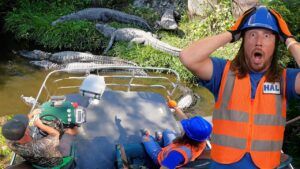 🐊 Alligator Swamp Truck Ride 🐊 - Kingdom Kids Zone, Sing With Me - Handyman Hal - Music for Kids