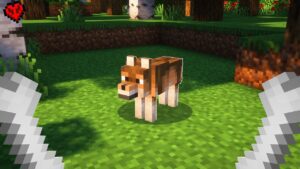 Taming Minecraft's NEW DOGS! - Gameplay, Kingdom Kids Zone, Minecraft - CringyGull