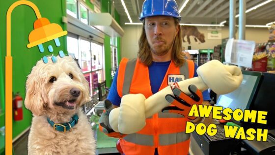 Handyman Hal Awesome song | Dog Bath Time - Kingdom Kids Zone, Sing With Me - Handyman Hal - Music for Kids