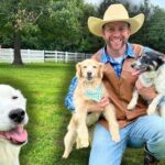 Man in a cowboy hat sits on the grass, holding a golden retriever puppy and a small black‑and‑white dog; a large white dog with a blue bandana is in the foreground, in a sunny yard.