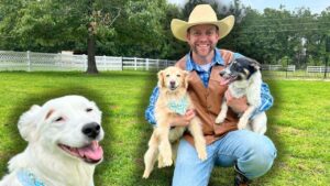 Man in a cowboy hat sits on the grass, holding a golden retriever puppy and a small black‑and‑white dog; a large white dog with a blue bandana is in the foreground, in a sunny yard.