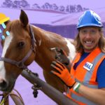 🐎Handyman Hal gives Horse a Bath🐎Horses for Kids - Kingdom Kids Zone, Sing With Me - Handyman Hal - Music for Kids