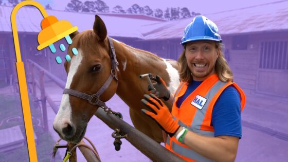 🐎Handyman Hal gives Horse a Bath🐎Horses for Kids - Kingdom Kids Zone, Sing With Me - Handyman Hal - Music for Kids