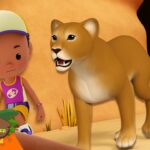 Witness21 Editor  2024 05 16