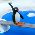 Pingu Seeks Revenge 🐧 | Pingu – Official Channel | Cartoons For Kids - Kids (0-4), Kingdom Kids Zone - Pingu - Official Channel