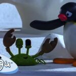 Pingu and His Little Crab Friends 🐧 | Pingu – Official Channel | Cartoons For Kids - Kids (0-4), Kingdom Kids Zone - Pingu - Official Channel