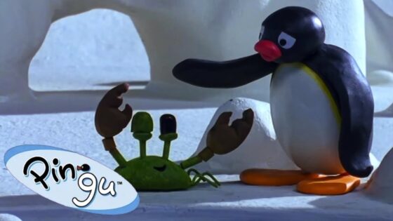 Pingu and His Little Crab Friends 🐧 | Pingu – Official Channel | Cartoons For Kids - Kids (0-5), Kingdom Kids Zone - Pingu - Official Channel