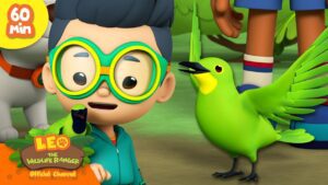 Witness21 Editor  2024 05 20