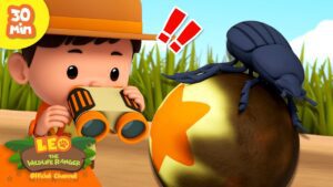 Witness21 Editor  2024 05 23